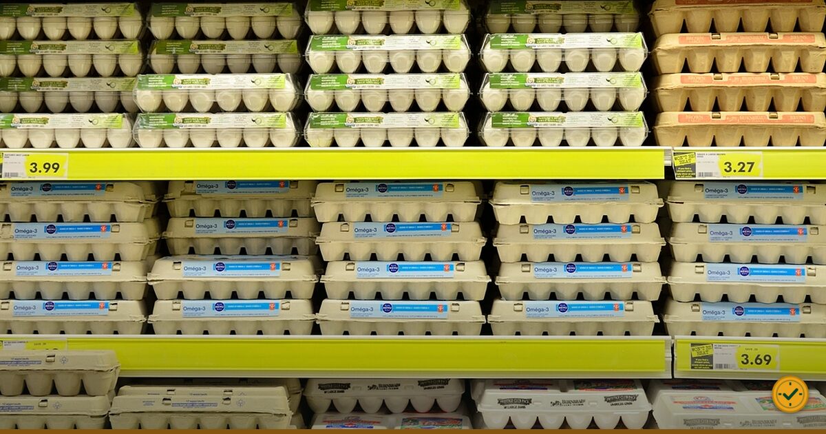Egg boxes on a supermarket shelf
